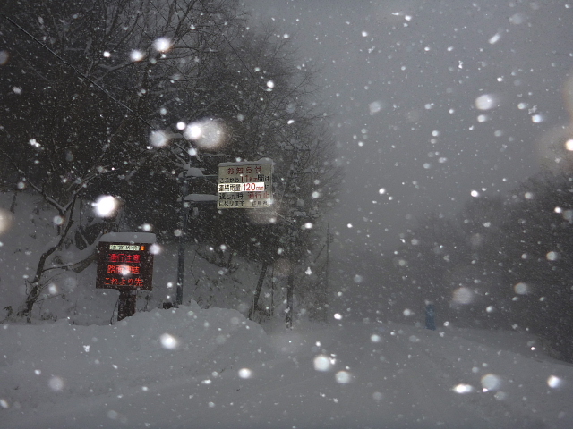 大雪1.jpg