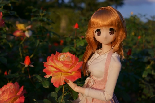 薔薇と陽菜ちゃん.jpg