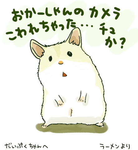 カメラ壊れた！.jpg