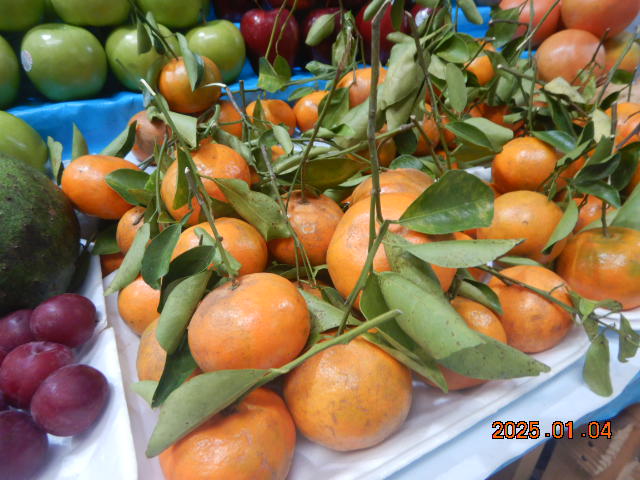 DSCN0117.JPG