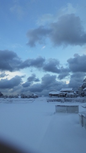 20120218.jpg