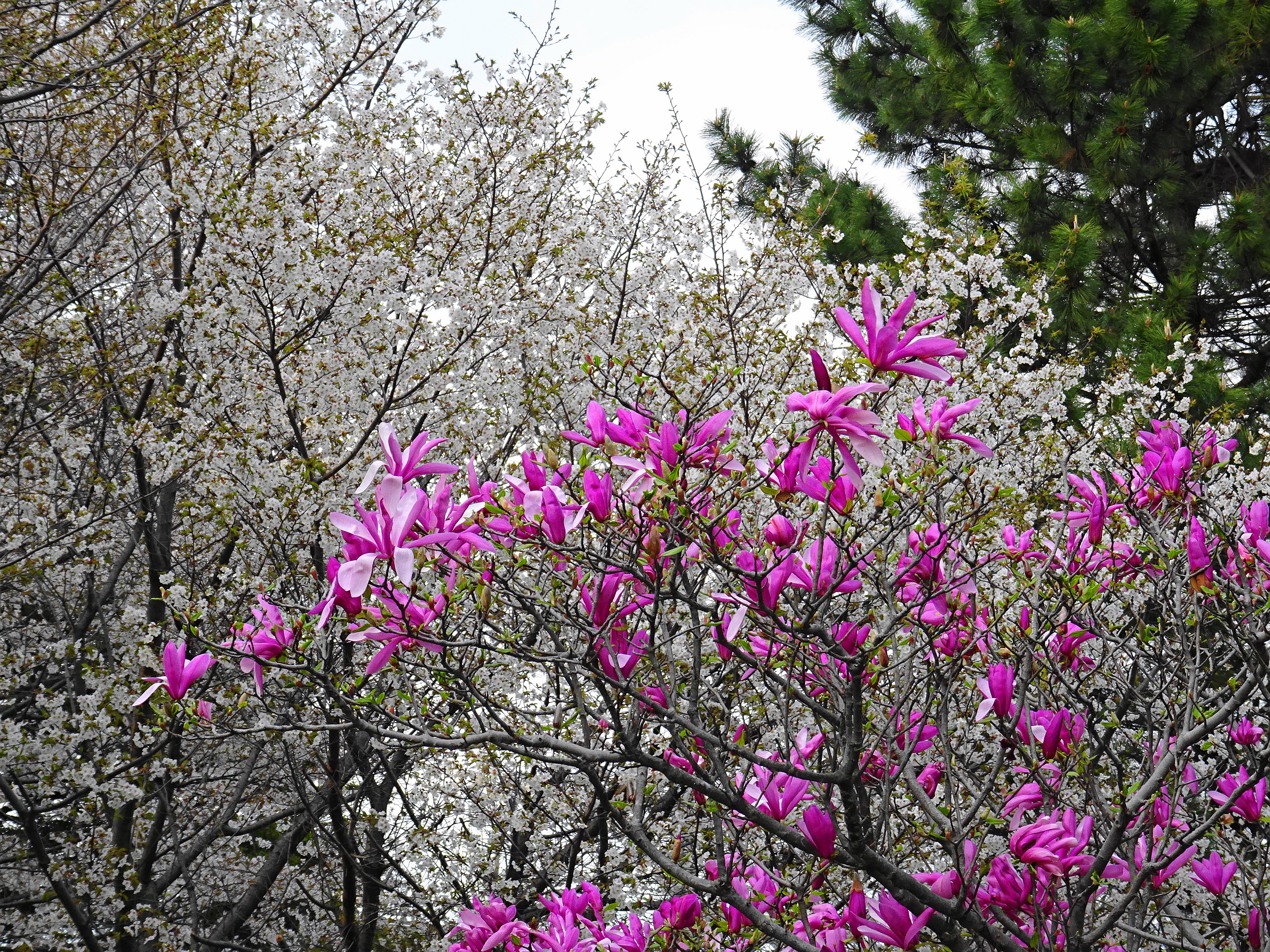 160406-31.JPG