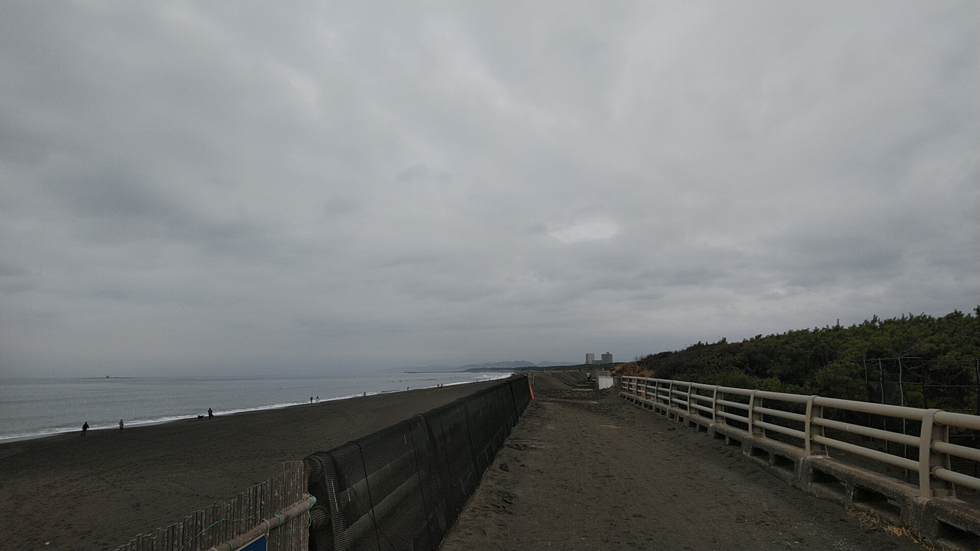 20230115  DSC_0001.jpg