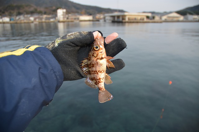 showPhoto (640×426)