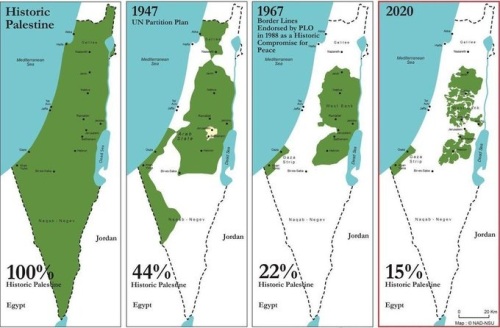 palestine un plan with percent jpeg.jpg