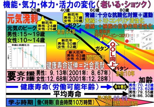 機能・気力・体力・活力の変化.jpg