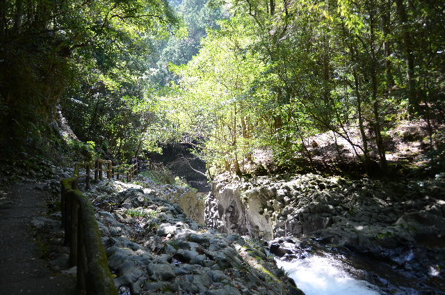 DSC_4582.JPG