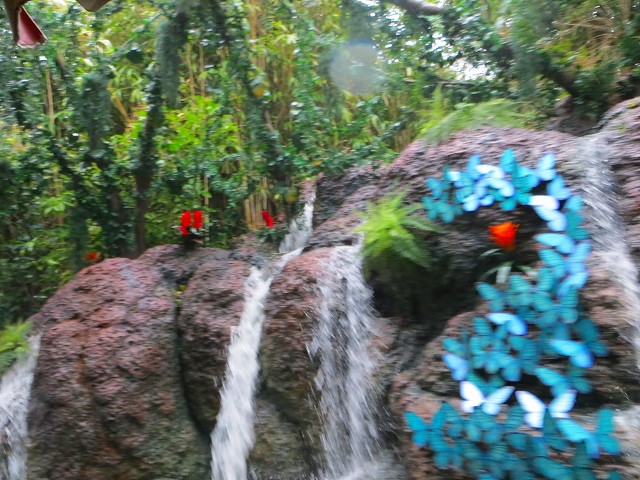 IMG_7358.jpg