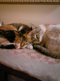 120223_203506.jpg