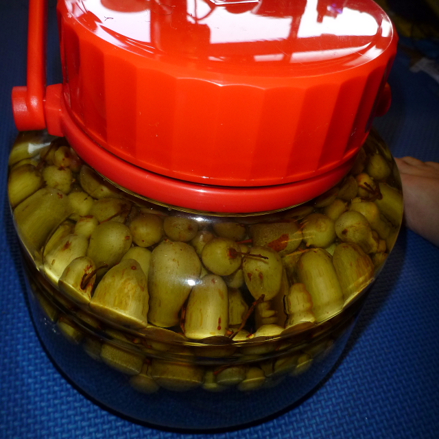 サルナシ201309263.jpg