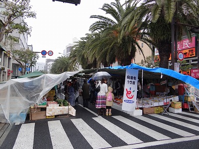 DSC01866.jpg