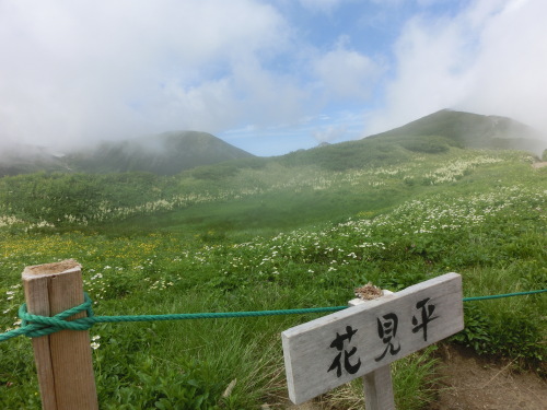 双六岳 077.JPG