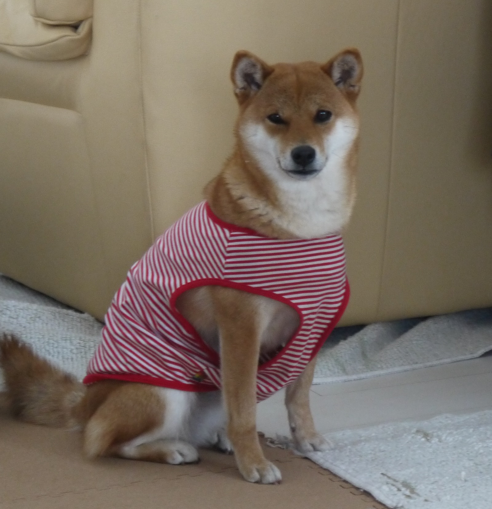 20150306.jpg