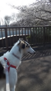 140401_144114.jpg