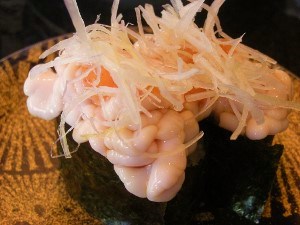 DSCN4849 (300x225).jpg