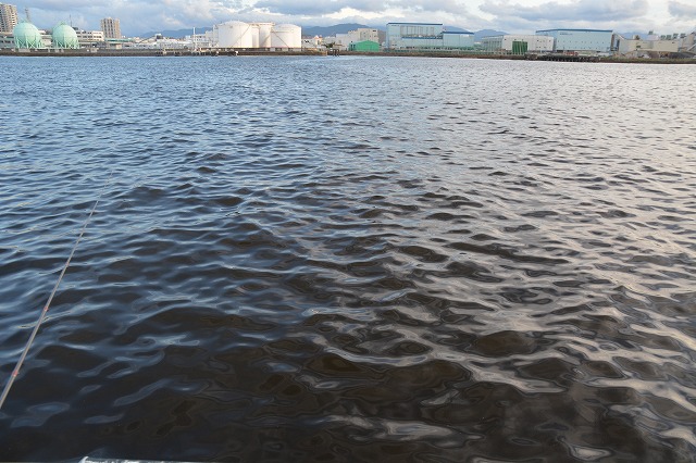 showPhoto (640×426)