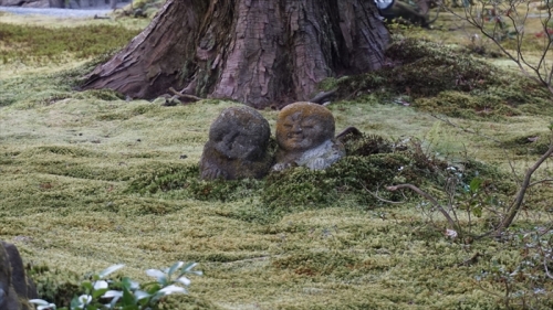 20160323 15462301.JPG