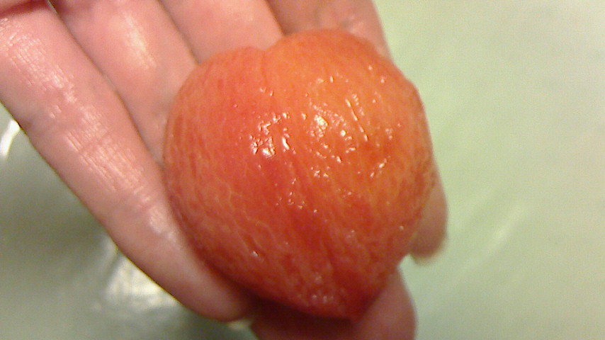 NEC_0157.JPG