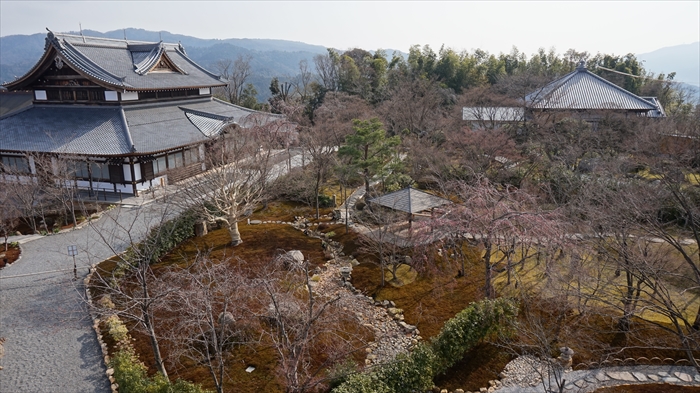 20160323 09063201.JPG