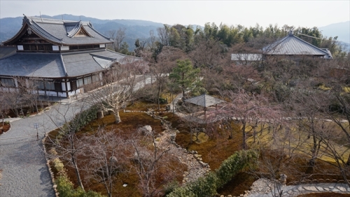 20160323 09063201.JPG