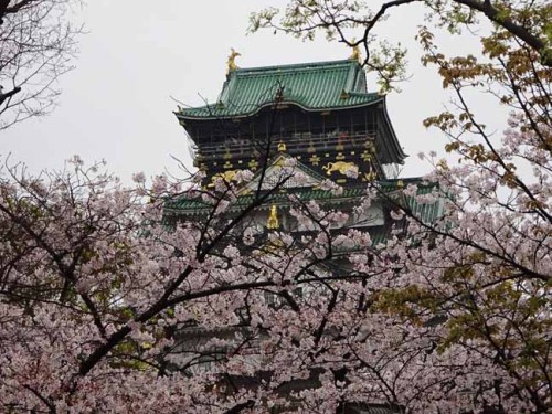 大阪城 (9).JPG