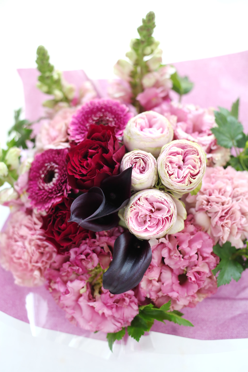 pink5500-483.jpg