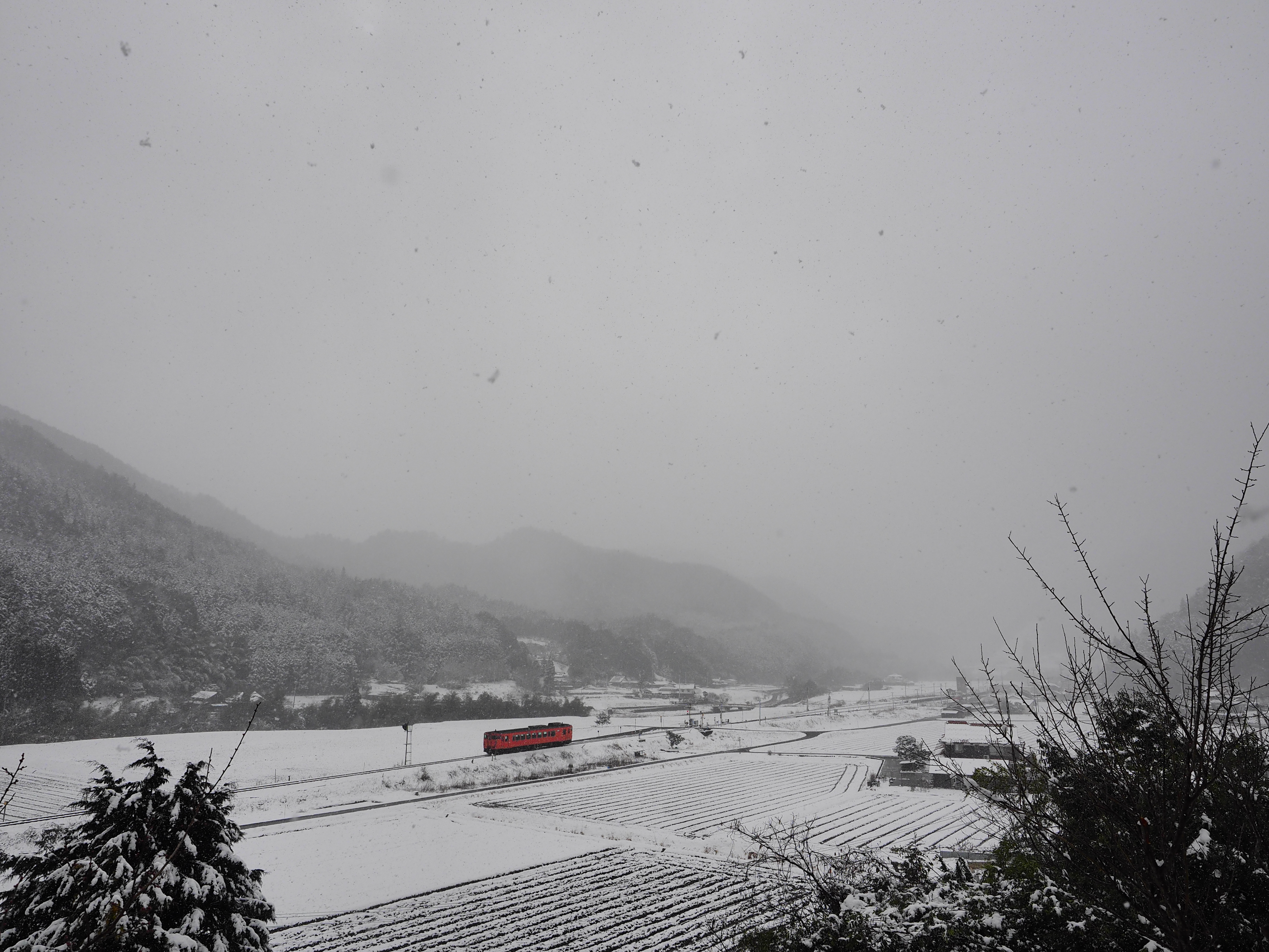 P2056948.JPG