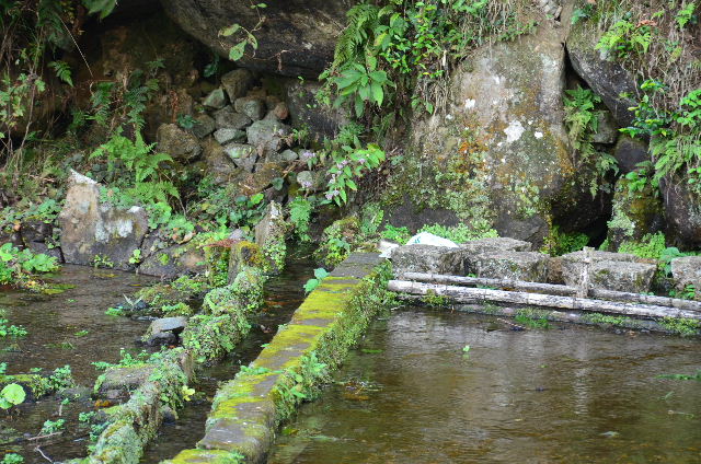 DSC_4336.JPG