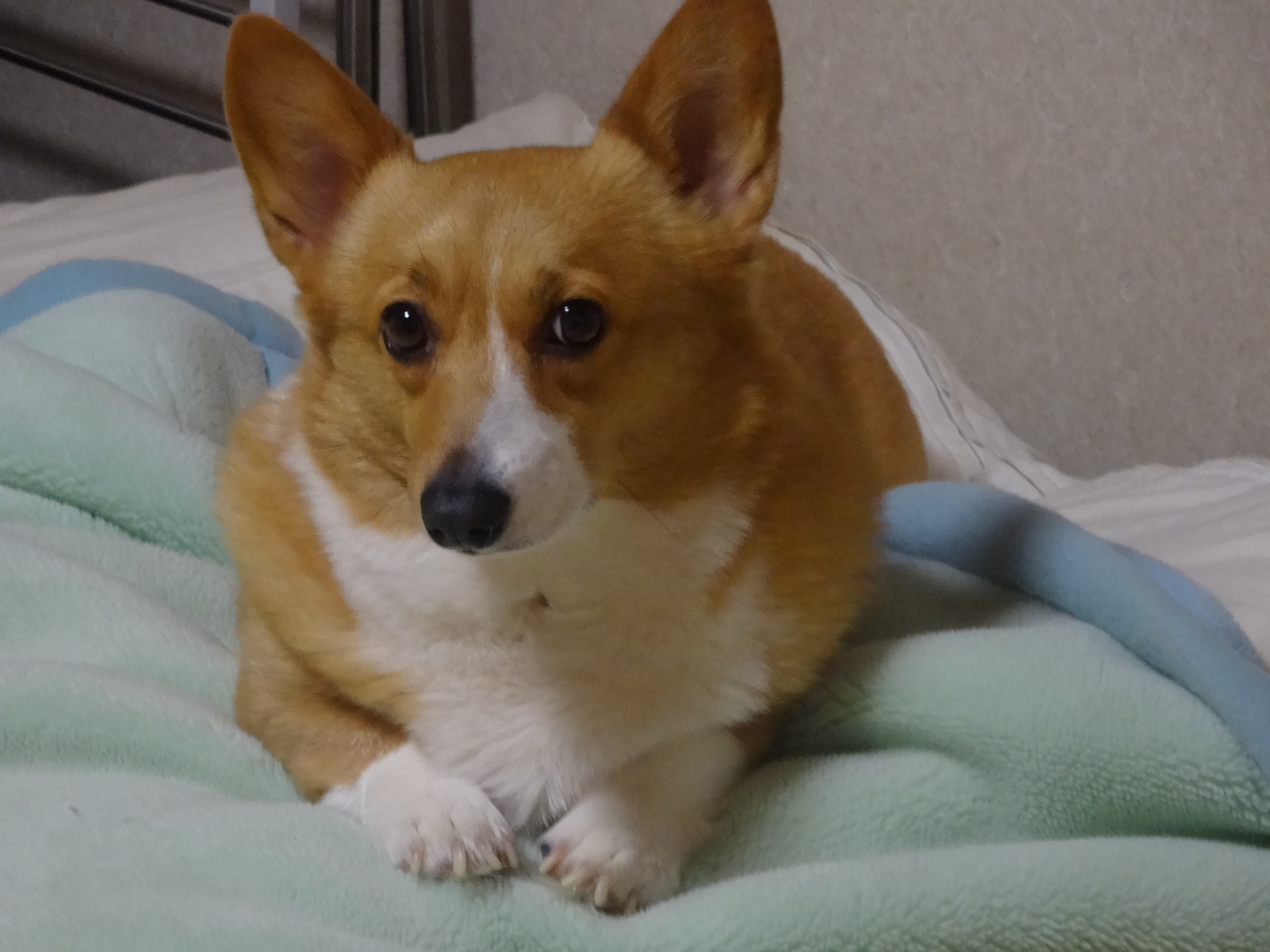 DSC00087.JPG