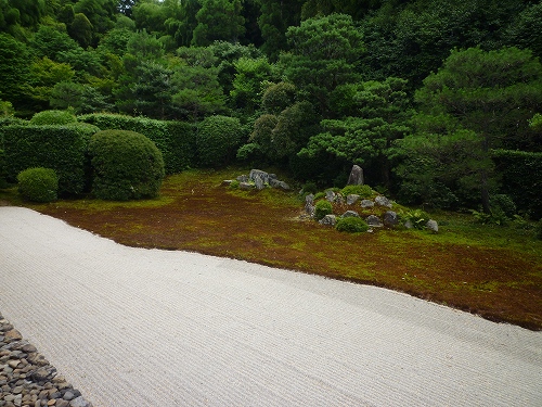 P1020465.jpg