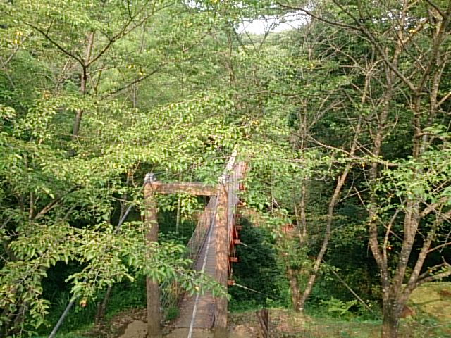 20150711  DSC_0004.jpg