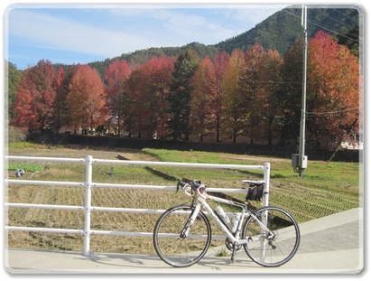 0753R433沿線風景（天上山登山口のカエデ）_0753.jpg