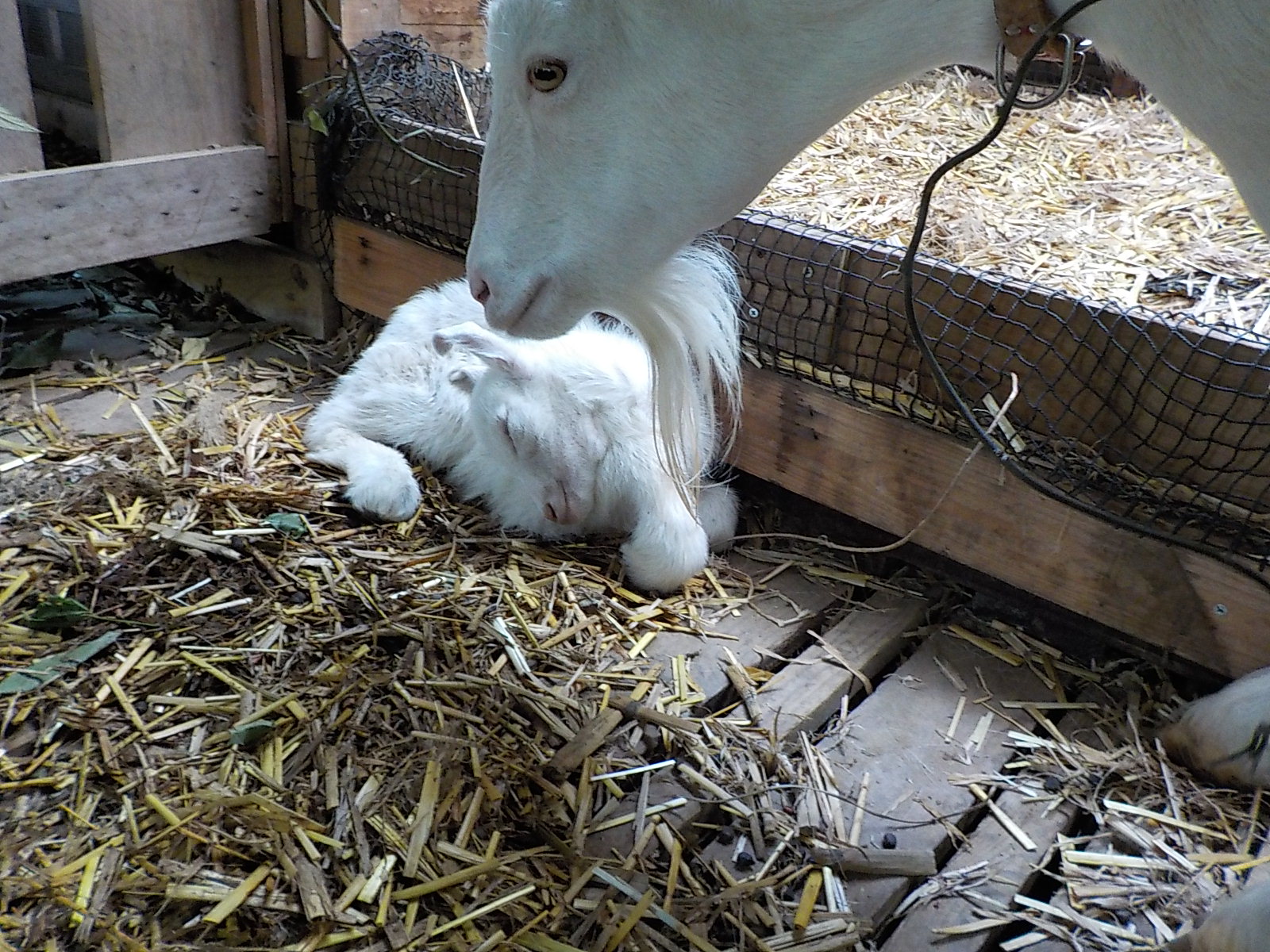 DSCN1480.JPG