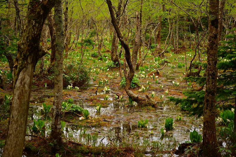DSC_0400.jpg