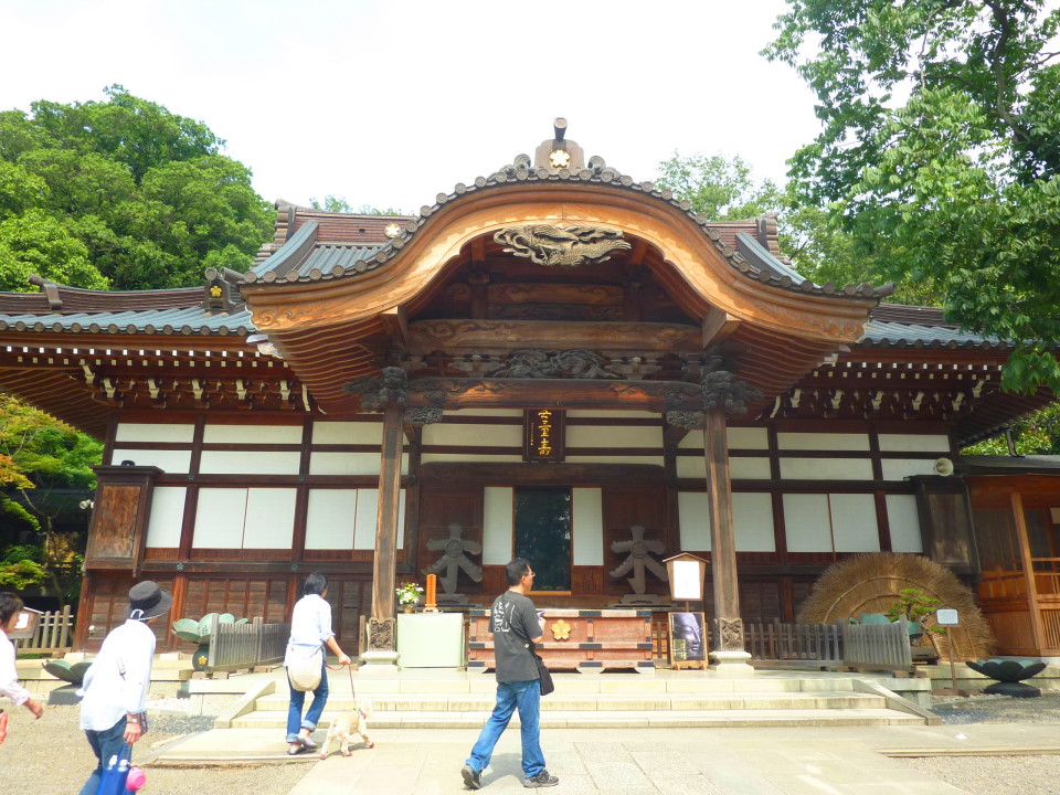 P1450704.JPG