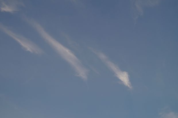 _DSC3514.JPG