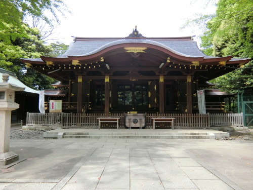 渋谷氷川神社.JPG