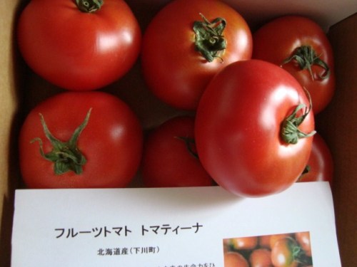 北海道フルーツトマト