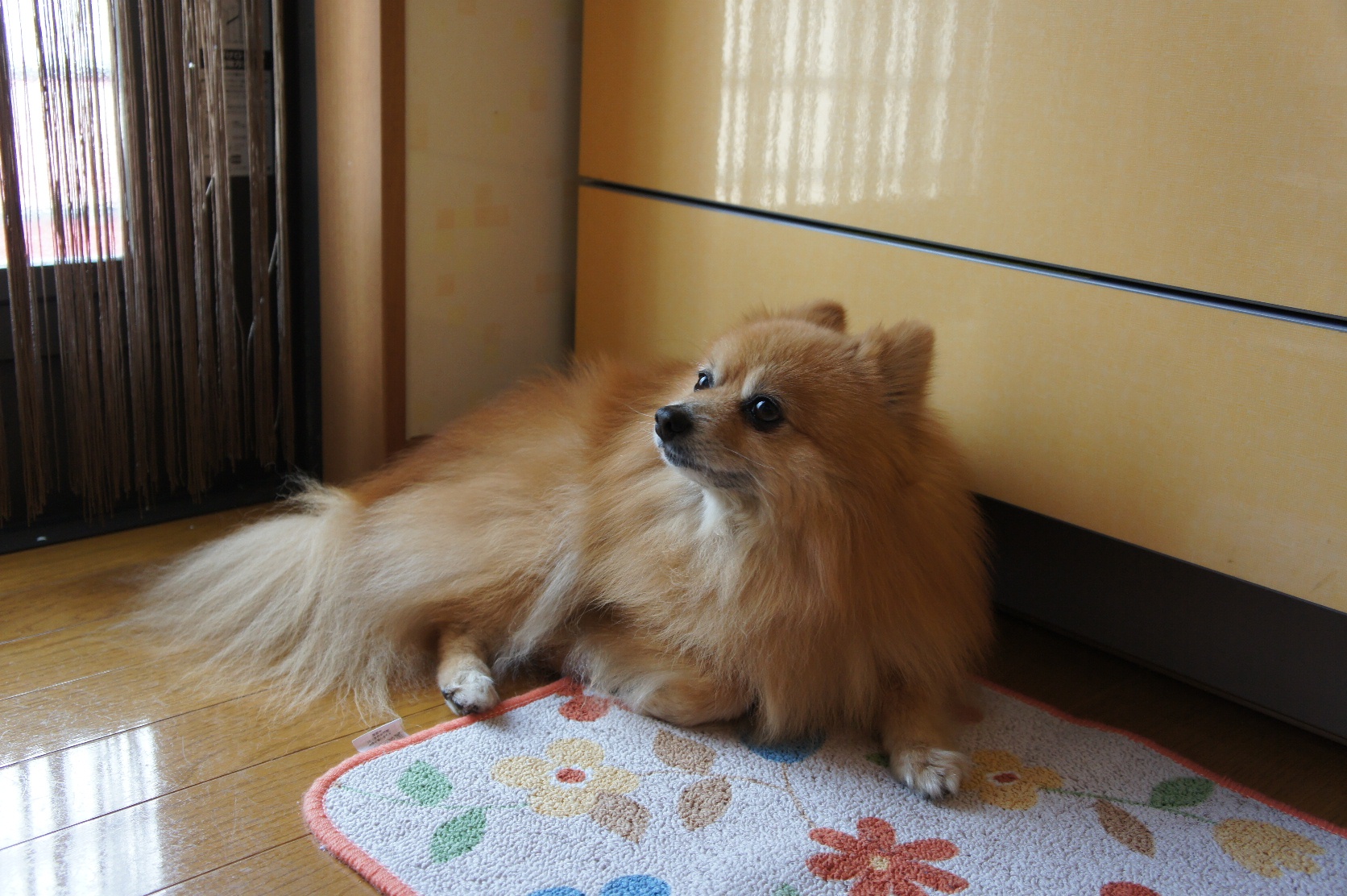 DSC08283.JPG