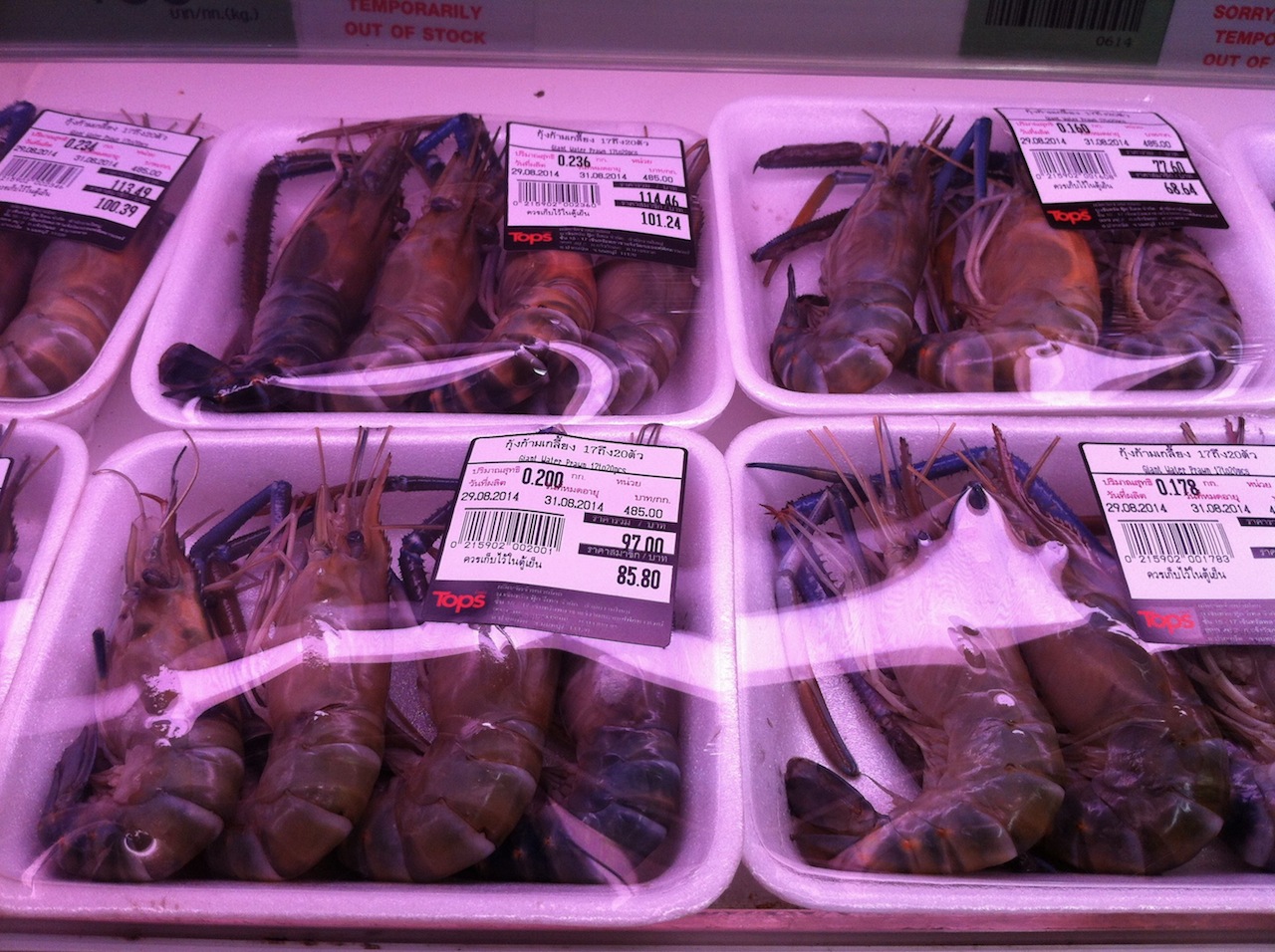 20140829エビ.jpg