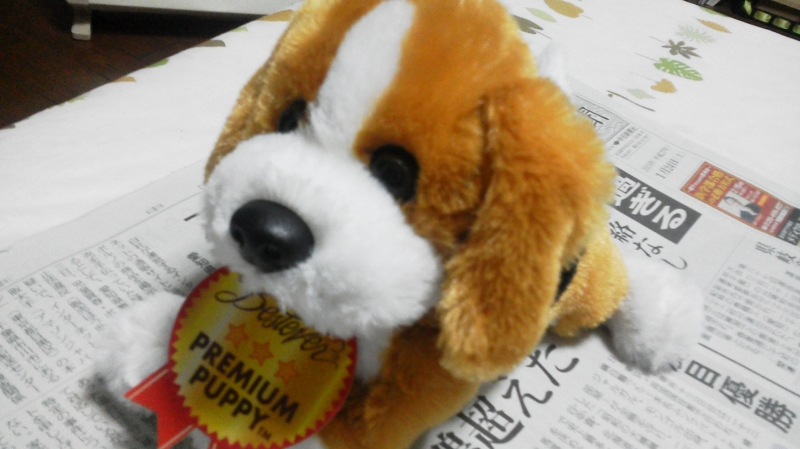 P1010100.jpg