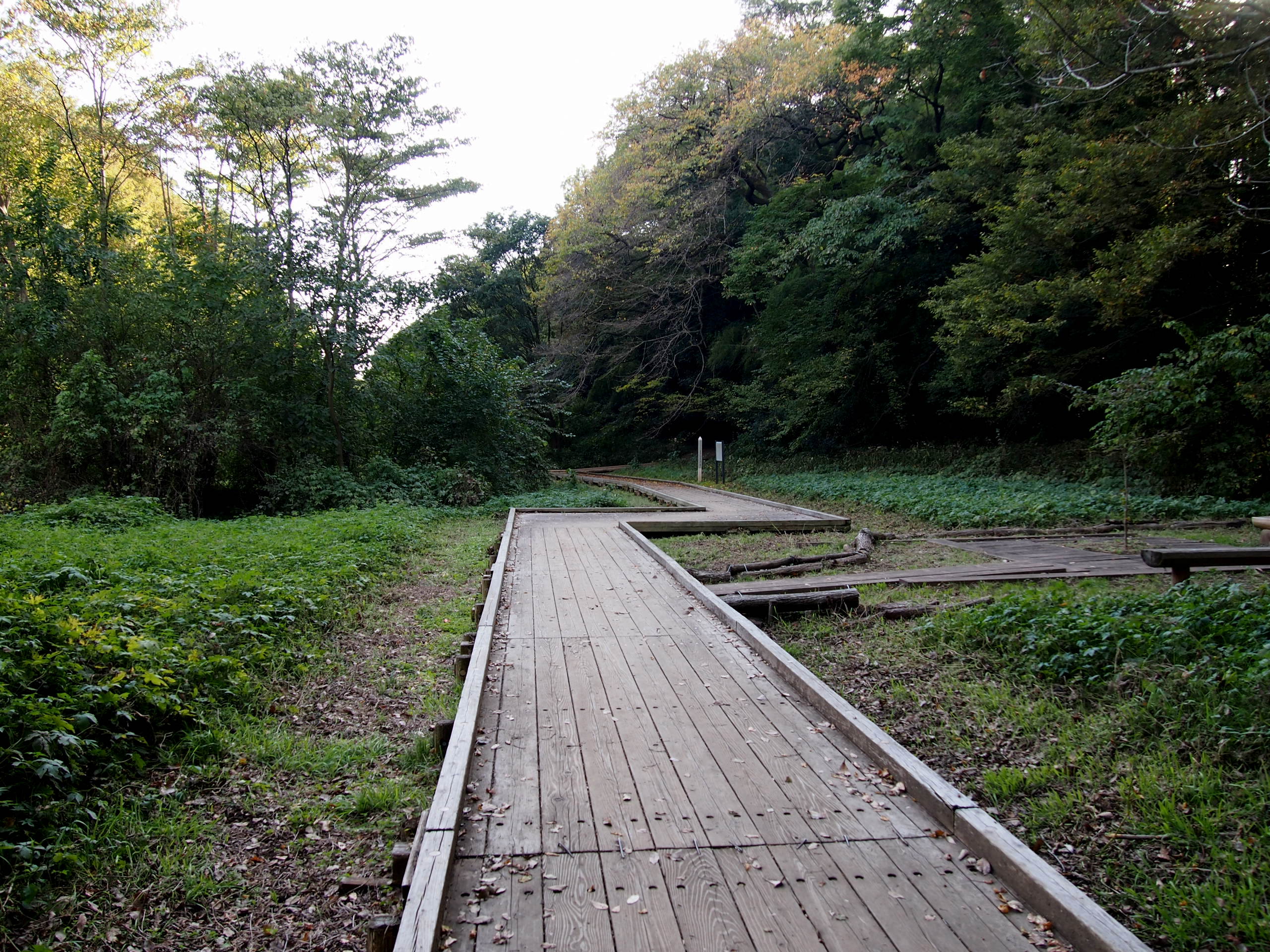 PB080562.JPG
