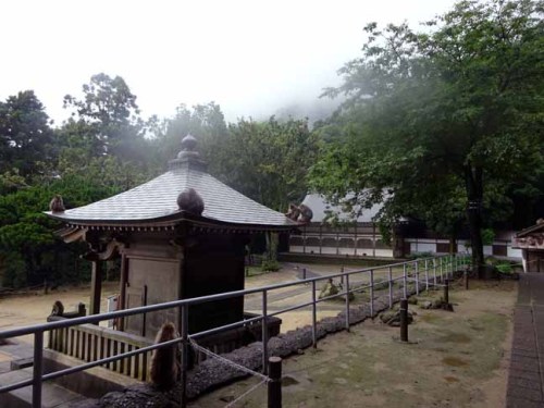 雨の日の猿君 (3).JPG