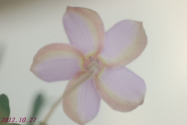 DSC_4315.JPG