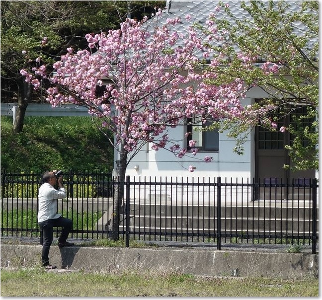 18花とおじさん
