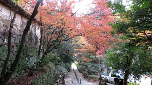 柞原神社 (4).JPG