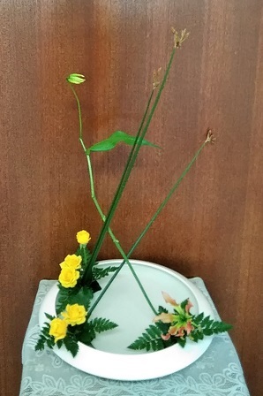 2020.06.15片平小a.jpg