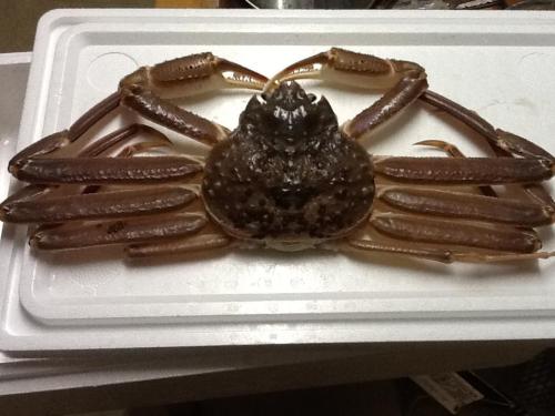 これからこの蟹をいただきます。
