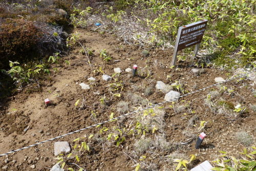 一切経山・東吾妻山4820140524.jpg