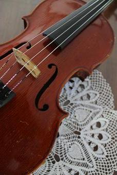 viola2.JPG